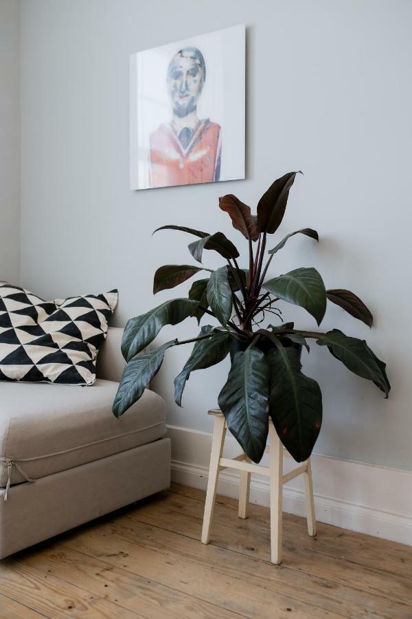 Baixa24 •P2R• Bright Apt In Vibrant Downtown Porto Ngoại thất bức ảnh