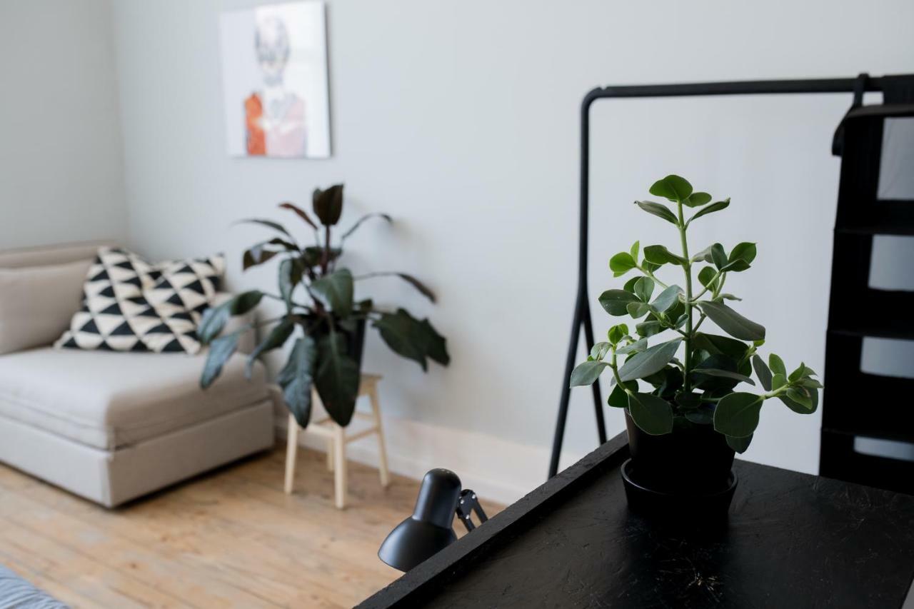 Baixa24 •P2R• Bright Apt In Vibrant Downtown Porto Ngoại thất bức ảnh